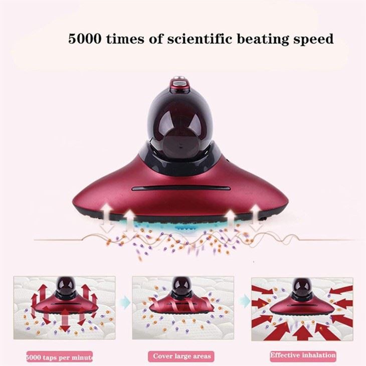 a bed bug vacuum cleaner